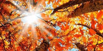 Echinocţiul de toamnă 2023. Azi începe toamna astronomică