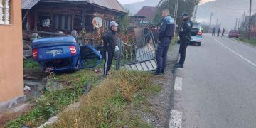 Doi bătrânei din Maramureș au distrus curtea unei gospodării din Romuli!