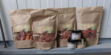 Ciuperci ce conţin substanțe interzise, depistate în bagajele unui ucrainean care a vrut să intre în ţară