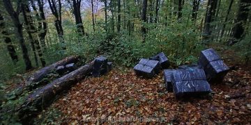 Focuri de avertisment şi ţigări de contrabandă abandonate în tufişuri la Bistra