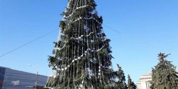 Ne-am trezit? Un pom de Crăciun achiziționat de primării nu va mai putea costa 10.000 de lei!