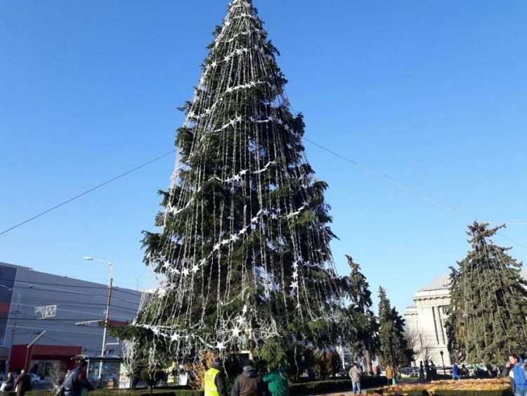 Ne-am trezit? Un pom de Crăciun achiziționat de primării nu va mai putea costa 10.000 de lei!