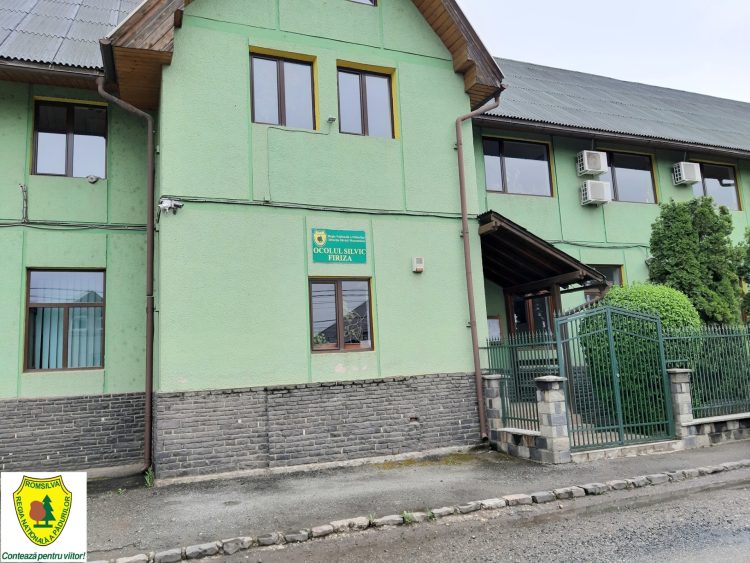 Ocolul Silvic Firiza începe livrarea de masă lemnoasă pentru populație