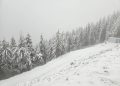 Prima ninsoare din acest sezon din Maramureș – foto