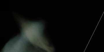 Peste 130 de lucrări de artă expuse pe simeze la Colonia Pictorilor în cadrul evenimentului Anuala Artelor 2023