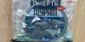 Un român şi un ucrainean au vrut să introducă în ţară substanțe toxice: utilizate împotriva rozătoarelor, respectiv fungicide