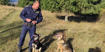 Faceți cunoștință cu Guapa, de la Poliţia de Frontieră Vişeu de Sus. Căţeluşa este dresată pentru depistarea persoanelor ascunse în maşini