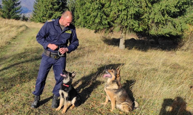 Faceți cunoștință cu Guapa, de la Poliţia de Frontieră Vişeu de Sus. Căţeluşa este dresată pentru depistarea persoanelor ascunse în maşini