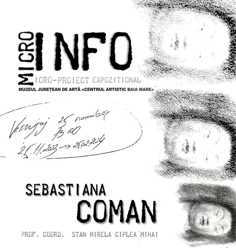 Microexpoziția «Info», la Muzeul Județean de Artă «Centrul Artistic Baia Mare»