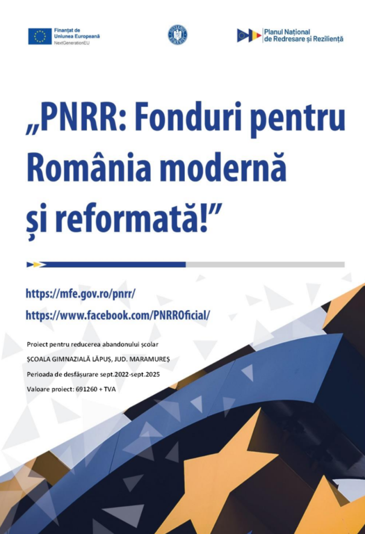 Fonduri pentru Școală Lăpuș prin Programul Național pentru Reducerea Abandonului Școlar