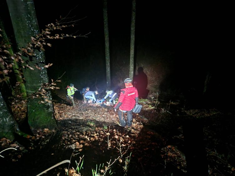 TRAGEDIE în Coaș. Un bărbat a sfârșit în pădure