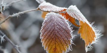Vreme schimbătoare. Prognoza meteo până în 18 decembrie