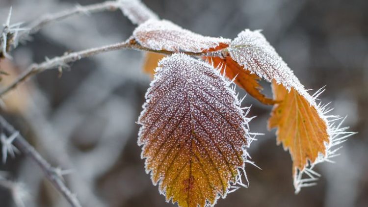 Vreme schimbătoare. Prognoza meteo până în 18 decembrie