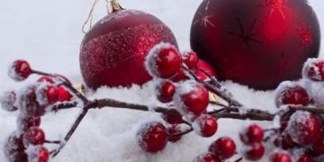 „Un Crăciun de poveste”, piesă de teatru interpretată de cadrele didactice ale Grădiniţei cu Program Prelungit din Târgu Lăpuş