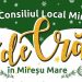 Programul Târgului de Crăciun de la Mireşu Mare
