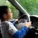 Minor de șapte ani surprins când conducea mașina tatălui său