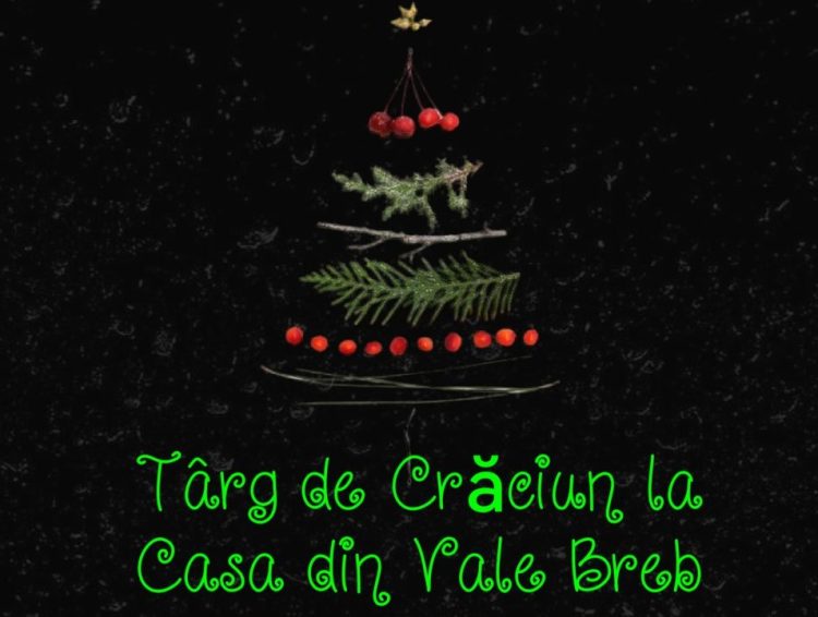 Târg de Crăciun la Casa din Vale Breb