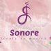 Sonore – școala de muzică în Baia Mare