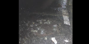 Situație urât mirositoare în Târgu Lăpuș. Răspuns instituțional halucinant