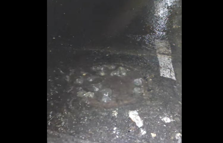 Situație urât mirositoare în Târgu Lăpuș. Răspuns instituțional halucinant