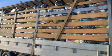 Două TIR-uri cu peste 30 de tone de deșeuri, oprite la intrarea în țară