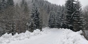 Snow Ice Race 2024 în Maramureș. Probă de noapte și nămeți de aproape un metru