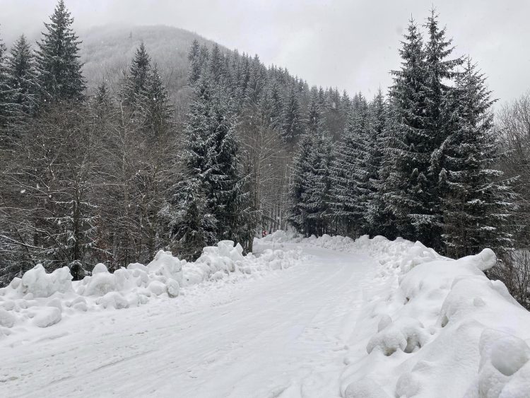 Snow Ice Race 2024 în Maramureș. Probă de noapte și nămeți de aproape un metru