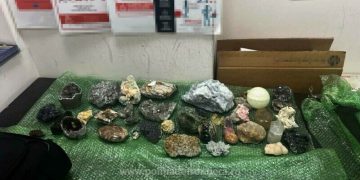 Ne vindem bogățiile. Colet cu flori de mină, din Baia Mare spre China