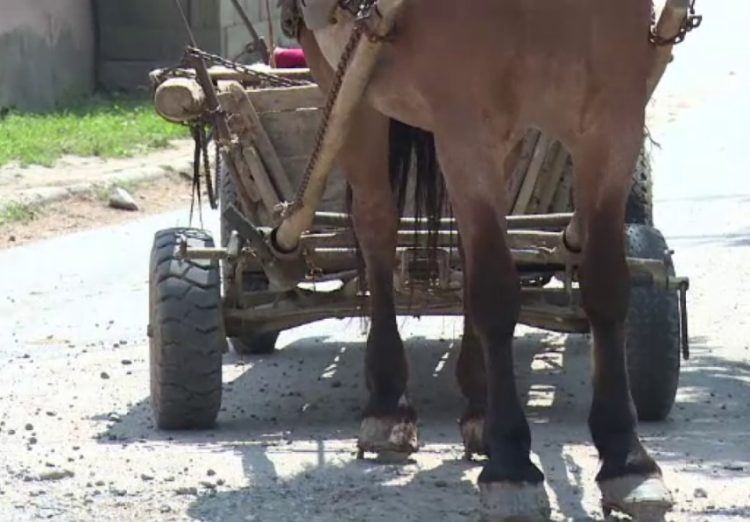 Un bărbat a murit după ce a căzut din căruţă. Tragedia s-a produs în Vișeu de Sus