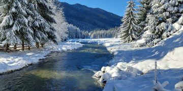 Avertizare de la Apele Române! Formațiuni de gheață pe râuri din Maramureş