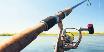 Pescuit ilegal la Remetea Chioarului. Cei zece pești au fost eliberați înapoi în baltă