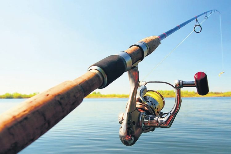 Pescuit ilegal la Remetea Chioarului. Cei zece pești au fost eliberați înapoi în baltă