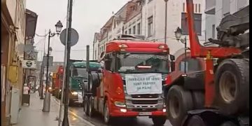 Protest al reprezentanţilor din industria lemnului, în Baia Mare