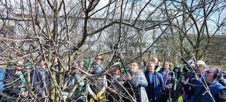 Ediția a VI-a a Seminarului de Pomicultură a avut loc la Liceul Tehnologic Agricol „Alexiu Berinde” din Seini