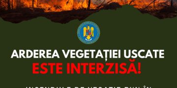 Campanie de colectare a resturilor vegetale la Sighetu Marmației