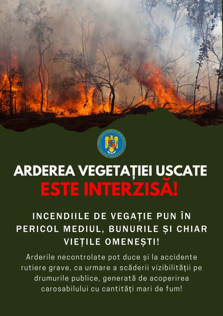 Campanie de colectare a resturilor vegetale la Sighetu Marmației