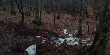 Depozit de gunoaie în Dealul Pietrișului