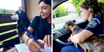 Subinsp. de poliție Mureșan Anca și subinsp. de poliție Covaci Maria activează de aproape trei ani ca medici veterinari la Biroul pentru Protecția Animalelor Maramureș