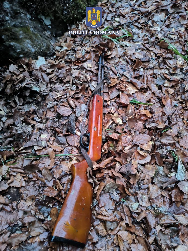 O armă neletală a fost găsită de polițiști într-o zonă împădurită de pe raza localității Bistra