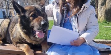 IPJ Maramureş organizează Ziua Porţilor Deschise în Baia Mare, Sighetu Marmaţiei şi Baia Sprie