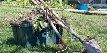 „Campanie de colectare a resturilor vegetale” la Sighetu Marmației