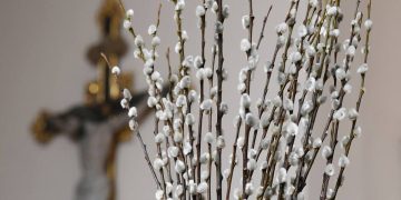 Credincioşii romano-catolici, reformați, luterani şi calvinişti sărbătoresc Duminica Floriilor