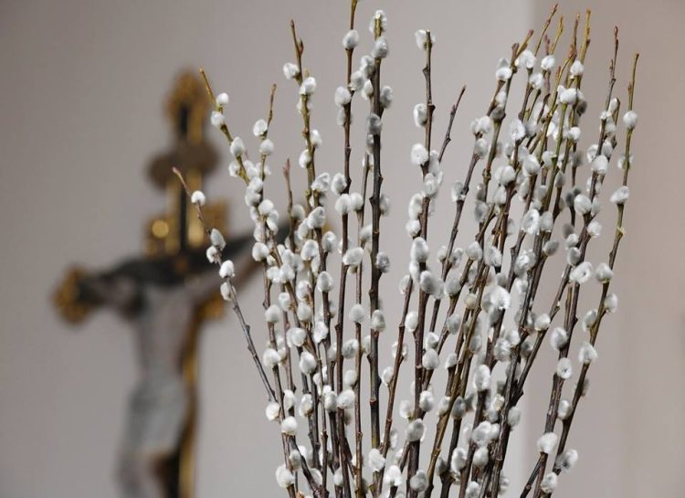 Credincioşii romano-catolici, reformați, luterani şi calvinişti sărbătoresc Duminica Floriilor