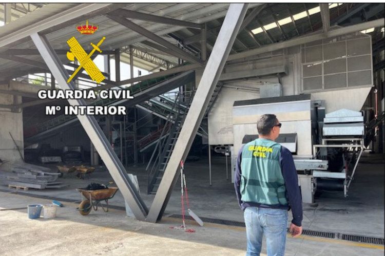 Șapte români, cercetați în Spania pentru falsificarea actelor de transport de măsline