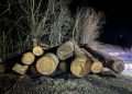 Legalitatea transportului materialului lemnos, în vizorul polițiștilor maramureşeni