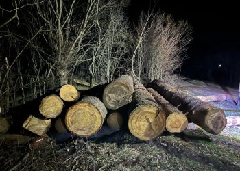 Legalitatea transportului materialului lemnos, în vizorul polițiștilor maramureşeni