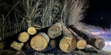 Legalitatea transportului materialului lemnos, în vizorul polițiștilor maramureşeni