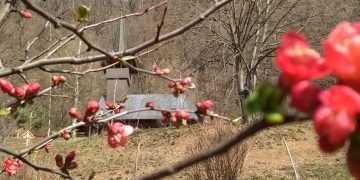 Zi de reculegere la Mănăstirea „Sfânta Maria” din Baia Mare