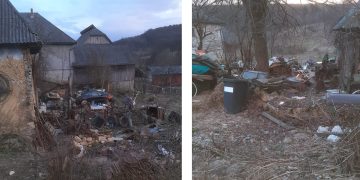 DE LA CITITORI: Sălbăticie pură în mijlocul unei comunități din Târgu Lăpuș