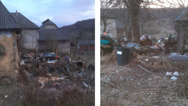 DE LA CITITORI: Sălbăticie pură în mijlocul unei comunități din Târgu Lăpuș